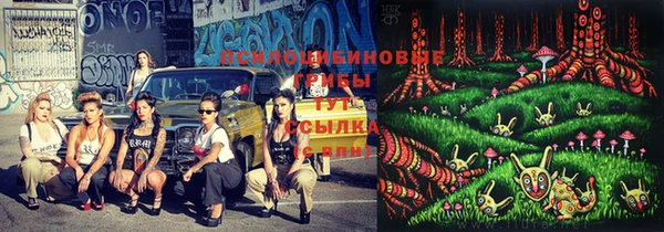 стаф Беломорск